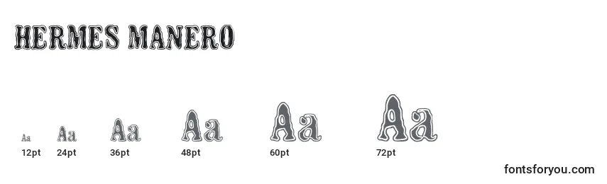 HERMES MANERO Font Sizes