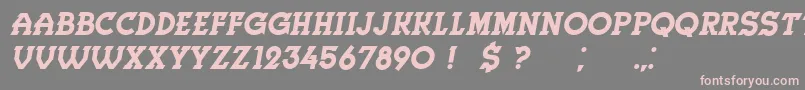 フォントHerne Italic – 灰色の背景にピンクのフォント