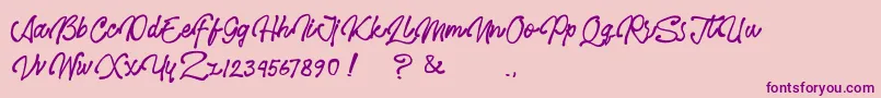 Hero Polpen-Schriftart – Violette Schriften auf rosa Hintergrund