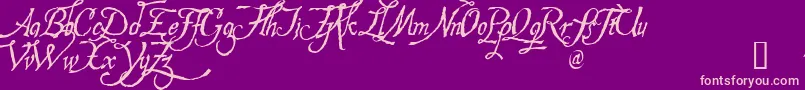 HESPD    Font – Pink Fonts on Purple Background