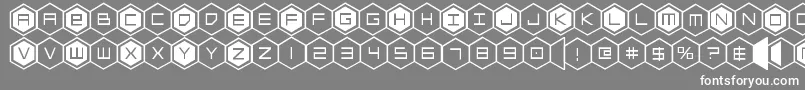 hexgon Font – White Fonts on Gray Background