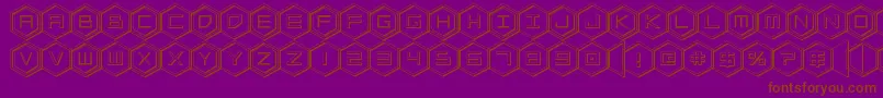 hexgon3d Font – Brown Fonts on Purple Background