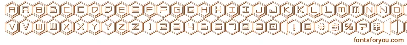 hexgon3d Font – Brown Fonts on White Background