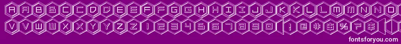 hexgon3d Font – White Fonts on Purple Background