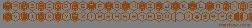 hexgonbold Font – Brown Fonts on Gray Background