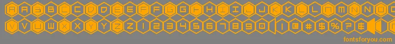 hexgonbold-Schriftart – Orangefarbene Schriften auf grauem Hintergrund