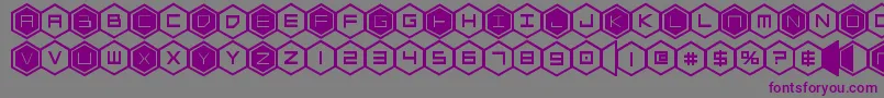 hexgonbold Font – Purple Fonts on Gray Background