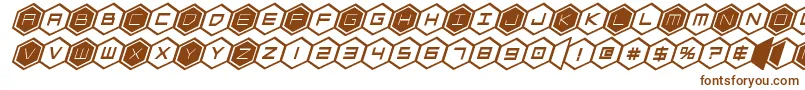 Шрифт hexgonboldital – коричневые шрифты на белом фоне