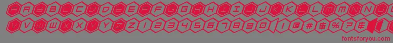 hexgonboldital Font – Red Fonts on Gray Background