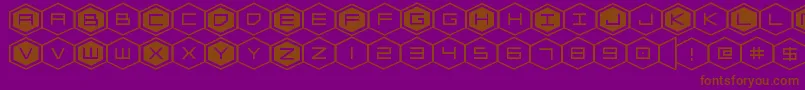 hexgonexpand Font – Brown Fonts on Purple Background