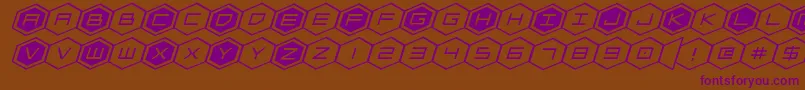 hexgonexpandital Font – Purple Fonts on Brown Background