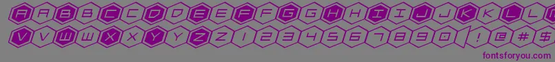 フォントhexgonexpandital – 紫色のフォント、灰色の背景