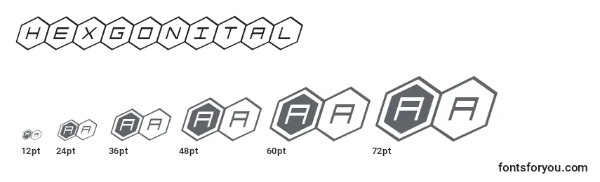 Hexgonital Font Sizes