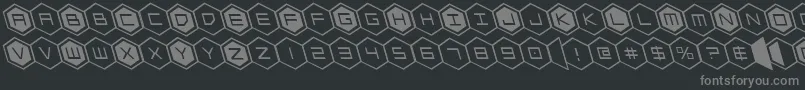 hexgonleft Font – Gray Fonts on Black Background