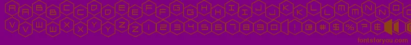 Шрифт hexgonstag – коричневые шрифты на фиолетовом фоне