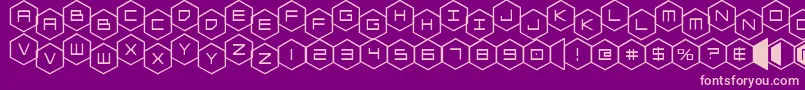 hexgonstag Font – Pink Fonts on Purple Background