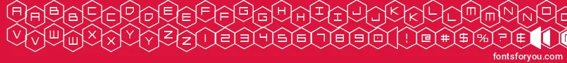 hexgonstag Font – White Fonts on Red Background
