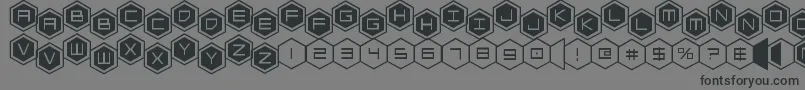 hexgonstag2 Font – Black Fonts on Gray Background