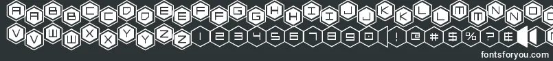 hexgonstag2 Font – White Fonts on Black Background