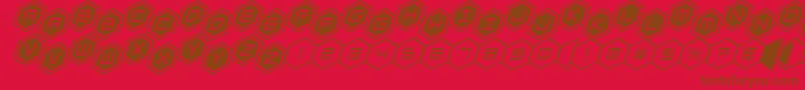 hexgonstag2ital Font – Brown Fonts on Red Background