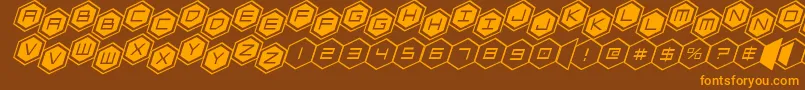 hexgonstag2ital Font – Orange Fonts on Brown Background