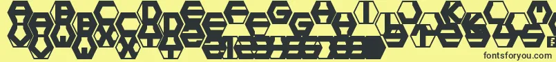 hexotic ldr Font – Black Fonts on Yellow Background