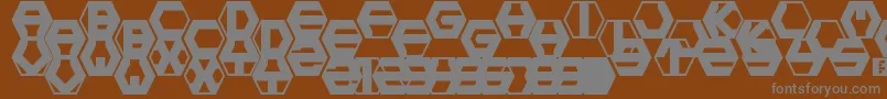 フォントhexotic ldr – 茶色の背景に灰色の文字