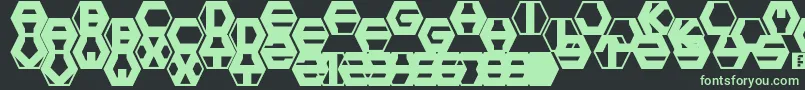 hexotic ldr Font – Green Fonts on Black Background