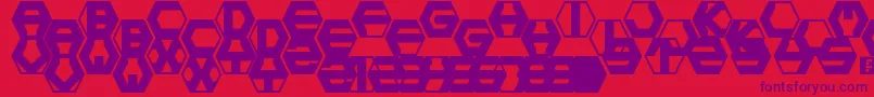 hexotic ldr Font – Purple Fonts on Red Background