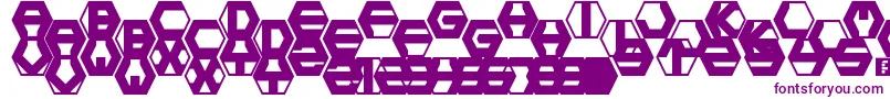 hexotic ldr Font – Purple Fonts on White Background