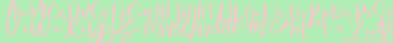 フォントHey Sunset Brush Font – 緑の背景にピンクのフォント