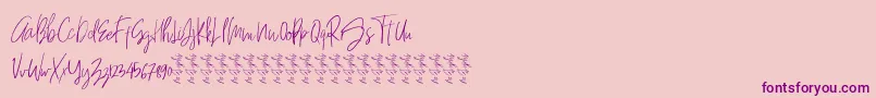 HeyFonallia FreeVersion Font – Purple Fonts on Pink Background