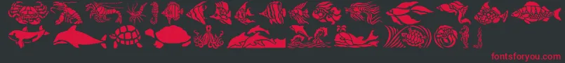 HFF Aqua Stencil Font – Red Fonts on Black Background