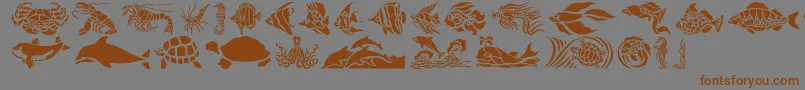 Czcionka HFF Aqua Stencil – brązowe czcionki na szarym tle