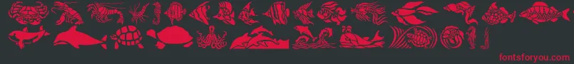 HFF Aqua Stencil Font – Red Fonts on Black Background