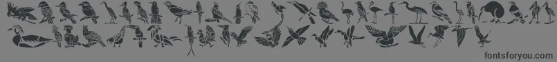Fonte HFF Bird Stencil – fontes pretas em um fundo cinza