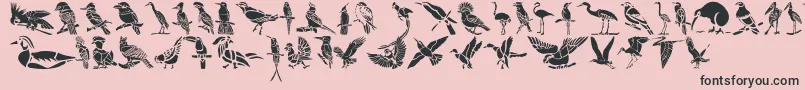 HFF Bird Stencil Font – Black Fonts on Pink Background