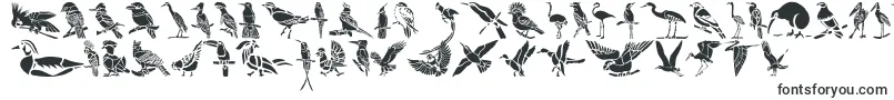 HFF Bird Stencil-Schriftart – Tier-Schriften