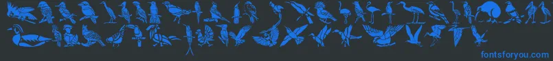 fuente HFF Bird Stencil – Fuentes Azules Sobre Fondo Negro