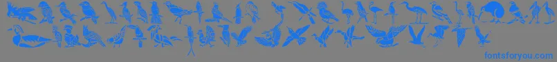 HFF Bird Stencil-Schriftart – Blaue Schriften auf grauem Hintergrund
