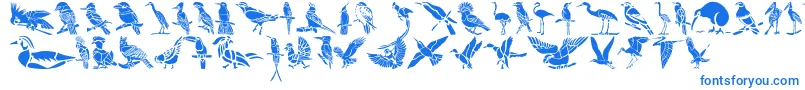 HFF Bird Stencil Font – Blue Fonts on White Background