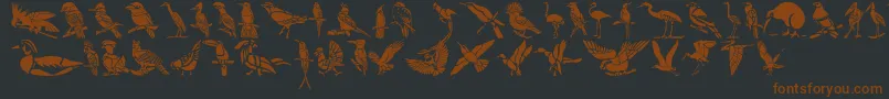 HFF Bird Stencil Font – Brown Fonts on Black Background