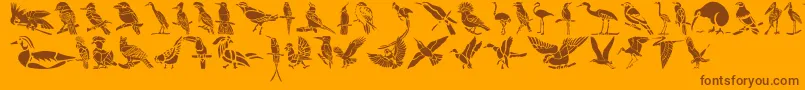HFF Bird Stencil Font – Brown Fonts on Orange Background