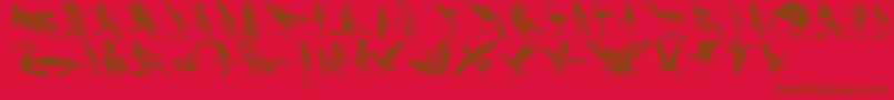 HFF Bird Stencil Font – Brown Fonts on Red Background