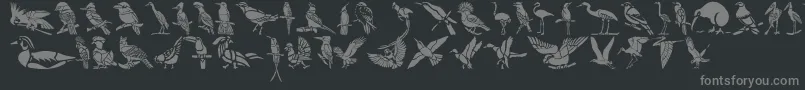 HFF Bird Stencil Font – Gray Fonts on Black Background