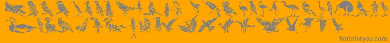 Weitere Informationen zur HFF Bird Stencil-Schriftart HFF Bird Stencil-Schriftart – Graue Schriften auf orangefarbenem Hintergrund