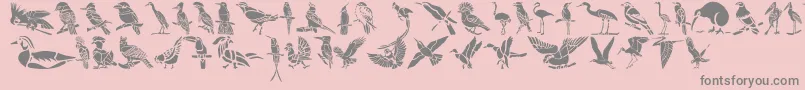 フォントHFF Bird Stencil – ピンクの背景に灰色の文字