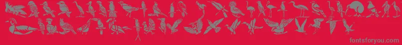 Czcionka HFF Bird Stencil – szare czcionki na czerwonym tle