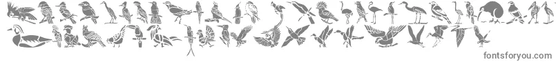 HFF Bird Stencil-Schriftart – Graue Schriften auf weißem Hintergrund