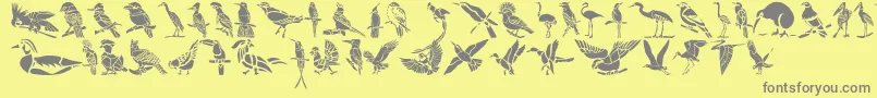 HFF Bird Stencil-Schriftart – Graue Schriften auf gelbem Hintergrund